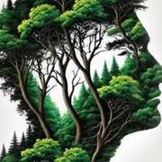 Tes Kepribadian: Hutan atau Wajah yang Pertama Terlihat? Ungkap Kamu Introvert atau Ekstrovert!