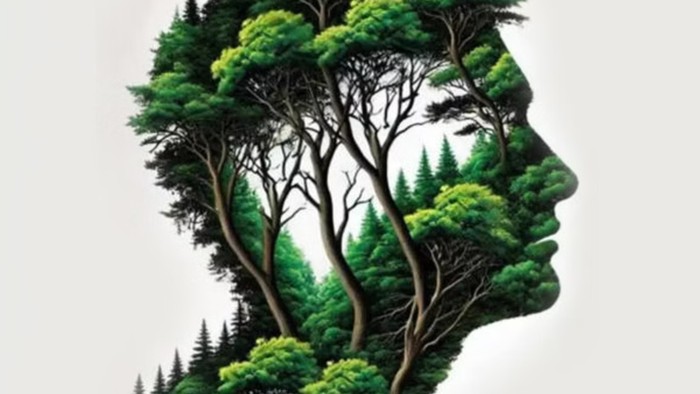 Tes Kepribadian: Hutan atau Wajah yang Pertama Terlihat? Ungkap Kamu Introvert atau Ekstrovert!