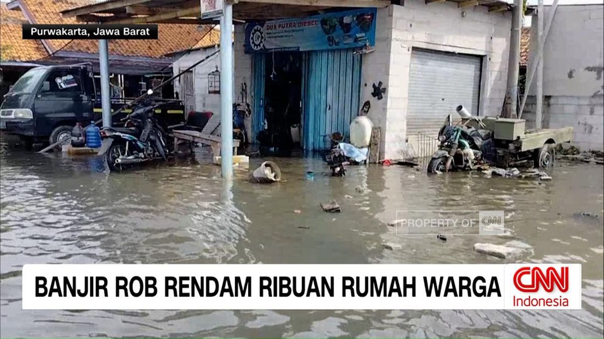 VIDEO: Banjir Rob Rendam Ribuan Rumah Warga di Subang