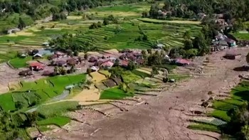Warga Malalak Selamatkan Sisa Panen Padi Terdampak Banjir dan Longsor