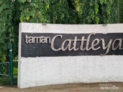 Taman Cattleya Ruang Hijau Asri di Tengah Jakarta Barat