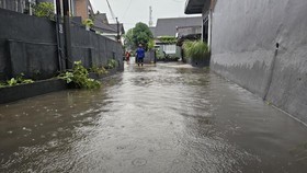 Banjir Kepung Kota Malang: Puluhan Rumah Terendam, Kendaraan Hanyut