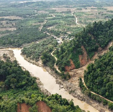 Tanggapan Anggota DPR Terkait Ide Pandawara Group soal Beli Hutan