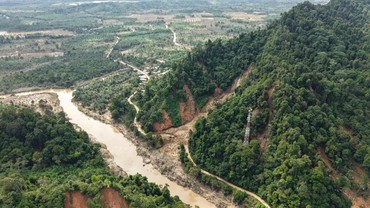 Tanggapi Ide Pandawara Group soal Beli Hutan, Komisi IV DPR: Sindiran untuk Pemerintah