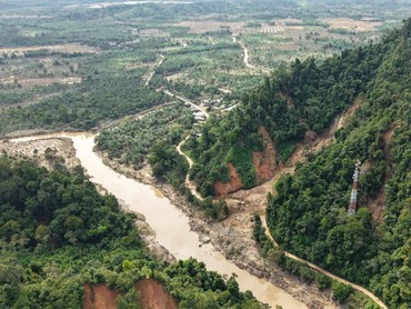 Tanggapi Ide Pandawara Group soal Beli Hutan, Komisi IV DPR: Sindiran untuk Pemerintah