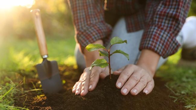 30 Quotes Inspiratif tentang Menjaga Kelestarian Alam