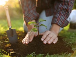 Kalender Jawa Minggu Legi 4 Januari 2026: Sumur Sinaba