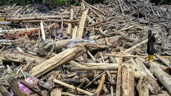 Polisi mengungkap sejumlah temuan baru terkait kasus kayu-kayu gelondongan yang terseret banjir di wilayah Aceh dan Sumatra.