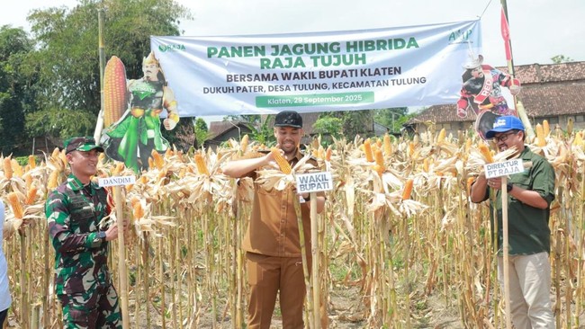 Pemkab Klaten ditegaskan mendukung percepatan swasembada pangan melalui program bantuan benih jagung pada 2026 mendatang.