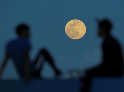Di Bawah Langit yang Sama, Apakah Bulan Tampak Sama di Semua Tempat?