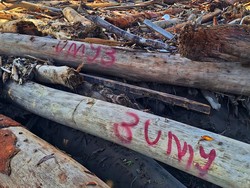 Relawan Sukabumi Ungkap Temuan Kayu Bernomor di Lokasi Banjir Aceh