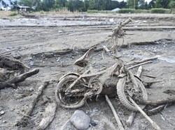 Deforestasi, Banjir Bandang, dan Kapal Noah