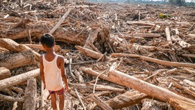 Menteri LH Ancam Pidana jika Ada Kesengajaan Buang Kayu Pemicu Banjir