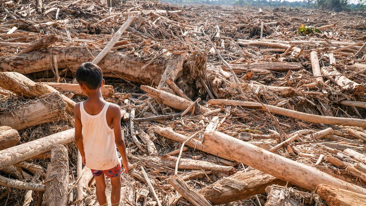 Update Korban Bencana Sumatra: 914 Orang Tewas, 389 Hilang