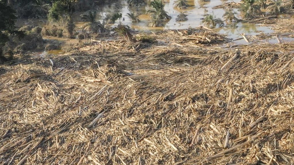 Banjir Kayu Gelondongan Kembali Terjang Bener Meriah Aceh, Warga Panik