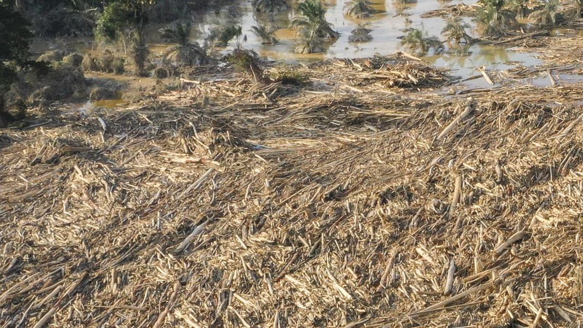 Wamendagri: Pemeriksaan Bupati Aceh Selatan Dijadwal Ulang