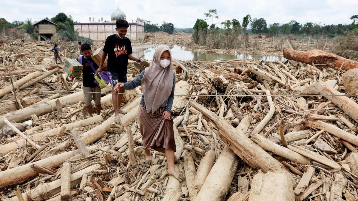 Temuan Terkini soal Pembalakan Liar di Hutan Sumatra Penyebab Banjir