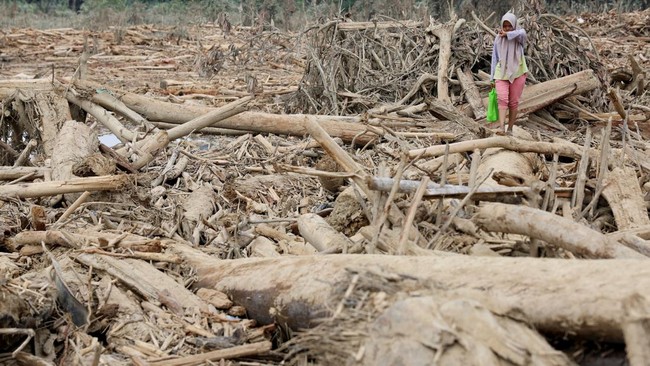 Polisi mengungkapkan terdamparnya kayu gelondongan di Lampung berasal dari kapal rusak dan terjadi pada 5 November 2025.