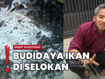 Unik! RT di Duren Sawit Kembangkan Budidaya Ikan Lele dari Selokan