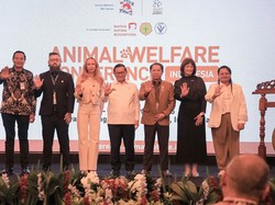 Jakarta Dorong Kolaborasi Perkuat Ekosistem Kesejahteraan Hewan