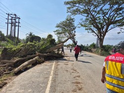 Kementerian PU Percepat Pemulihan Akses dan Air Bersih di Aceh Tamiang