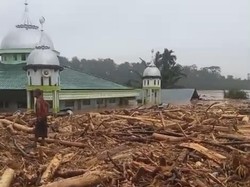 Desa Sekumur di Aceh Tamiang Hilang Disapu Banjir, Hanya Tersisa Masjid