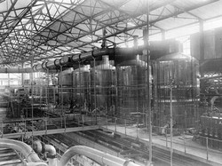 Jejak Seabad PG Djatiroto, Pabrik Gula Kolonial di Lumajang