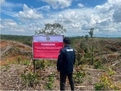 Temuan Kemenhut Soal Kerusakan Hutan Sumatera, Bukan Cuma Faktor Cuaca