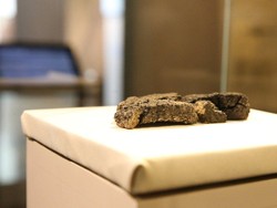 Wow! Penemuan Roti 5.000 Tahun Ini Ungkap Pola Makan Manusia Purba