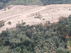 Menteri LH Hentikan Sementara Operasional 3 Perusahaan Tambang di Tapsel