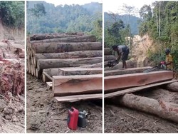 Diduga Ada Praktik Pembalakan Liar di Lampung, Warga Takut Datang Bencana