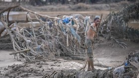 Update Terbaru Banjir Sumatra: Pengungsi Terserang Penyakit, 962 Tewas