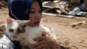 FOTO: Kisah Cinta Kucing dan Pemiliknya di Tengah Bencana Sumatera
