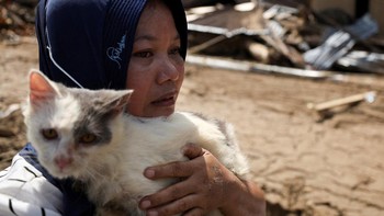 FOTO: Kisah Cinta Kucing dan Pemiliknya di Tengah Bencana Sumatera