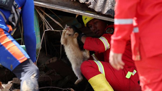 Di tengah banjir Sumbar, Salmiati menyelamatkan puluhan kucing telantar, menjadikannya pahlawan kecil bagi hewan-hewan yang terlupakan.