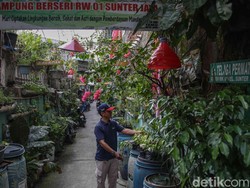 Perkuat Ketahanan Pangan, DPW LDII Jakarta dan Dinas KPKP Siapkan Kerja Sama Urban Farming