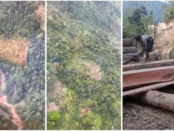 Polisi Libatkan Kemenhut untuk Selidiki Pembalakan Liar di Hutan Lampung