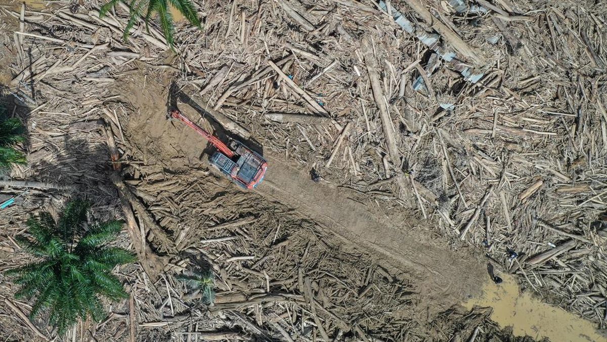 Satgas PKH Dalami Pidana 28 Perusahaan Perusak Lingkungan Sumatra