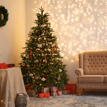 Kenapa Natal Identik dengan Pohon Cemara? Ini Penjelasannya