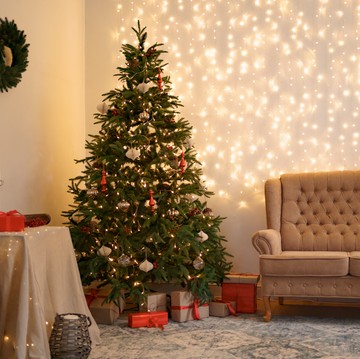 Kenapa Natal Identik dengan Pohon Cemara? Ini Penjelasannya