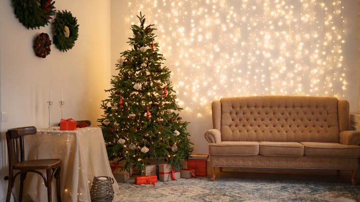 Kenapa Natal Identik dengan Pohon Cemara? Ini Penjelasannya