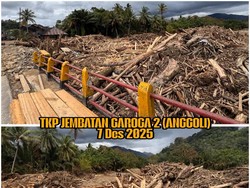 Bareskrim Ambil Sampel Gelondongan Kayu di Batang Toru, Ada Bekas Gergaji