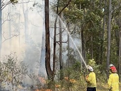 Dunia Hari Ini: Kebakaran Hutan di Australia, Seorang Petugas Damkar Tewas