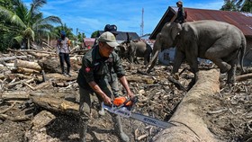 Komnas HAM Aceh Sebut Bencana Sumatra Penuhi Indikator Status Nasional