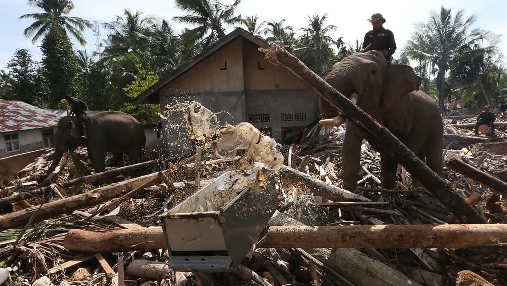 Rapat Bencana Aceh Bersama DPR Tanpa Sapaan 'Yang Terhormat'