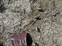 Video: KLH Dalami Kemungkinan Cemaran Sampah B3 Pascabanjir Sumatera