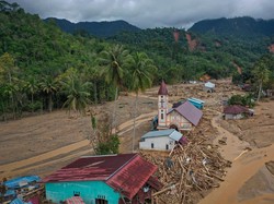 Rektor UI: Pemerintah Perlu Kaji Lagi Izin Konversi Hutan untuk Tujuan Komersial