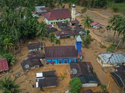 MUI Soroti Rusaknya Alam Sumatera: Diperlukan Kehadiran Negara