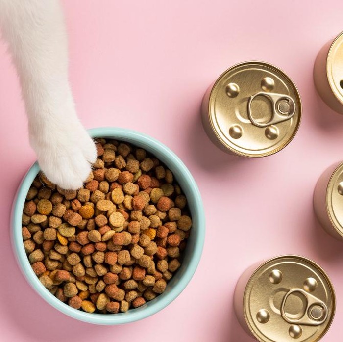 Jika kemasan makanan hewan peliharaan tidak disegel dengan ketat atau wadah penyimpanannya goyah, maka makanan tersebut dapat tumpah di sekitar kulkas atau bahkan di seluruh lantai.