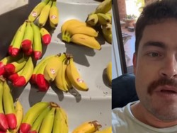Misteri Pisang Ujung Merah di Australia, Ternyata Bukan Buah Sembarangan